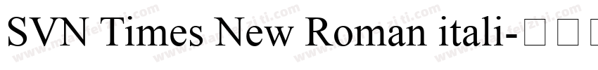 SVN Times New Roman itali字体转换